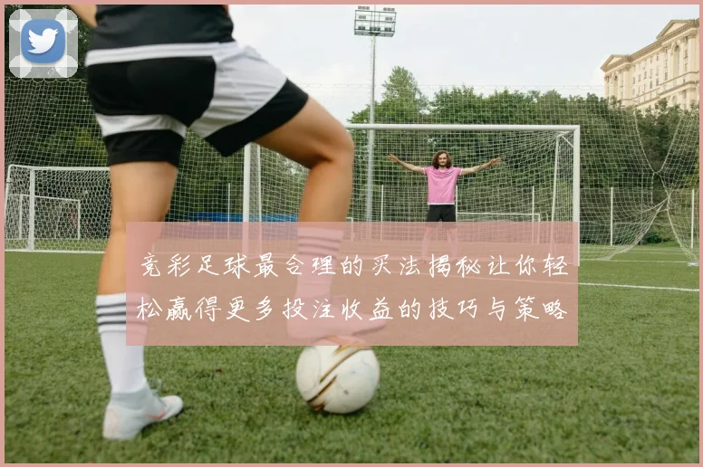 竞彩足球最合理的买法揭秘让你轻松赢得更多投注收益的技巧与策略