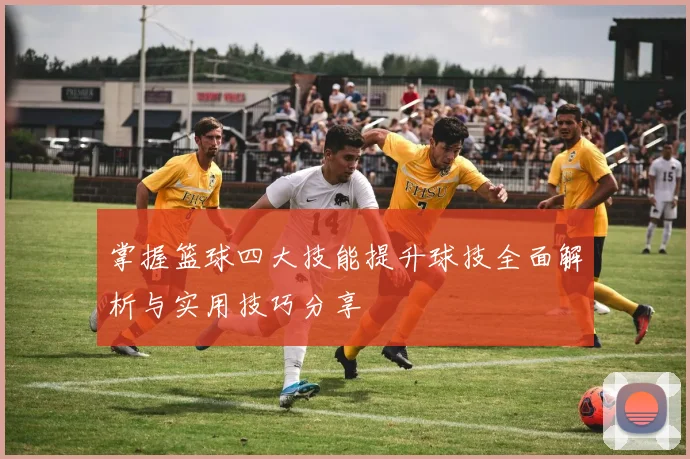 掌握篮球四大技能提升球技全面解析与实用技巧分享