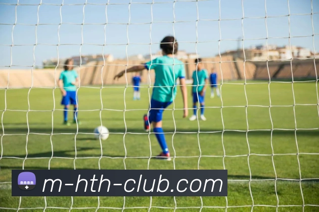 华体会平台生态图